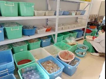 正確的洗瓶方法，幫助你擺脫實驗室洗瓶煩惱！